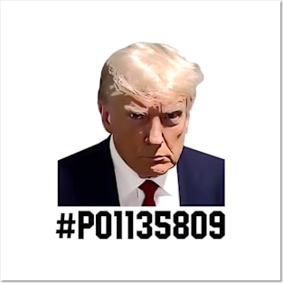 Trump Mugshot August 2024 Free Trump Posters and Art